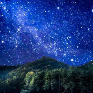 Nature night phone wallpaper