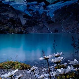 Nature night phone wallpaper