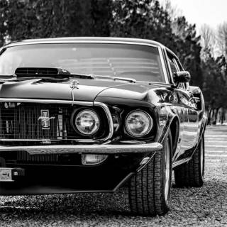 Ford Mustang 1969 phone wallpaper