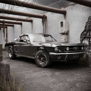 Ford Mustang 1969 phone wallpaper