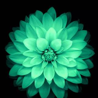 Blue green phone wallpaper