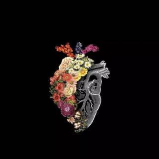 iPhone medicine wallpaper