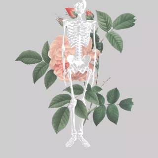 iPhone medicine wallpaper