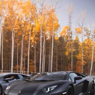 Black Lambo iPhone wallpaper