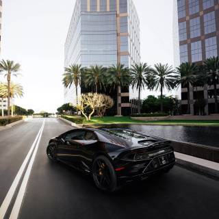 Black Lambo iPhone wallpaper