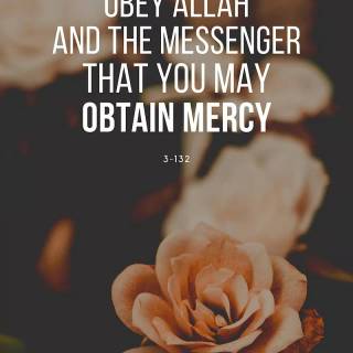 iPhone Quran wallpaper