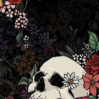 Black skull phone wallpaper