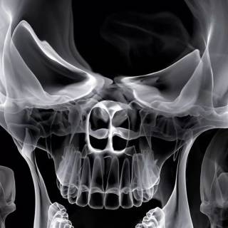 Black skull phone wallpaper