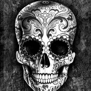 Black skull phone wallpaper