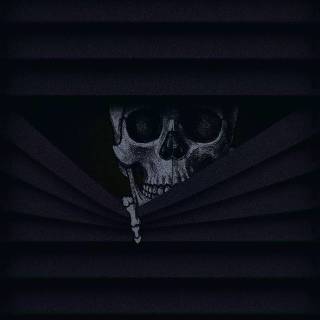 Black skull phone wallpaper