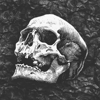 Black skull phone wallpaper