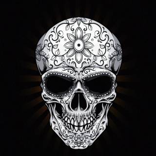 Black skull phone wallpaper