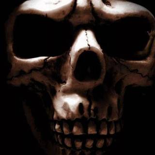 Black skull phone wallpaper