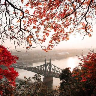 Budapest phone wallpaper