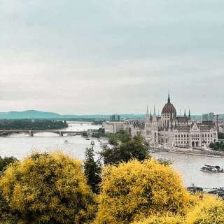 Budapest phone wallpaper