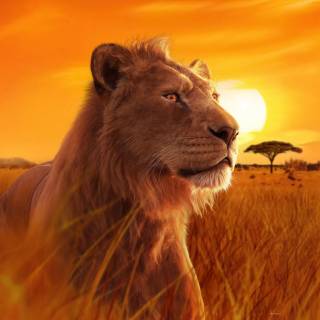 Mufasa The Lion King 4k 2025 movie wallpaper