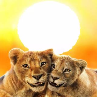 Mufasa The Lion King 4k 2025 movie wallpaper