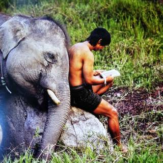 Steve McCurry wallpaper