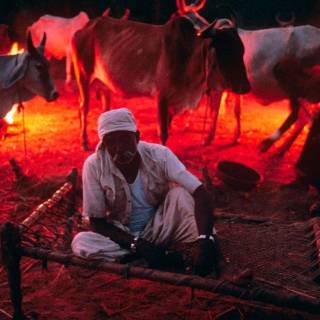 Steve McCurry wallpaper