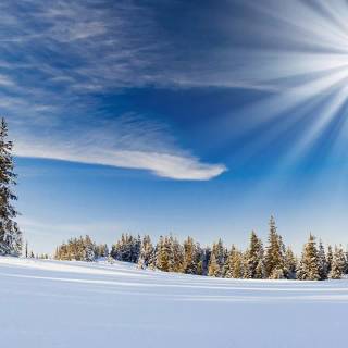 Winter and sun wallpaper