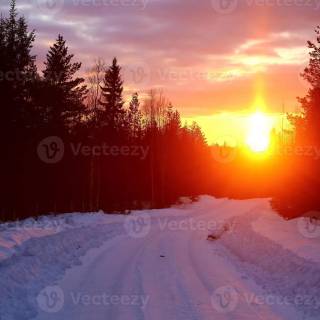 Winter and sun wallpaper