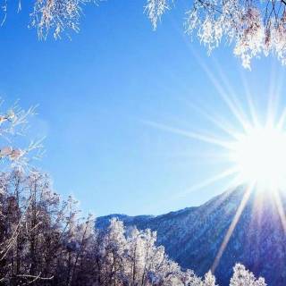 Winter and sun wallpaper