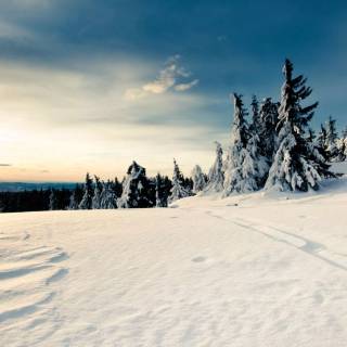 Winter and sun wallpaper