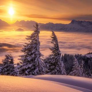 Winter and sun wallpaper