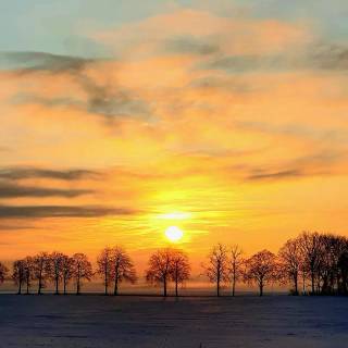 Winter and sun wallpaper