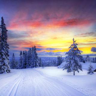 Winter colorful wallpaper