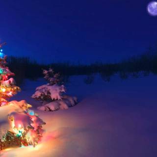 Winter colorful wallpaper