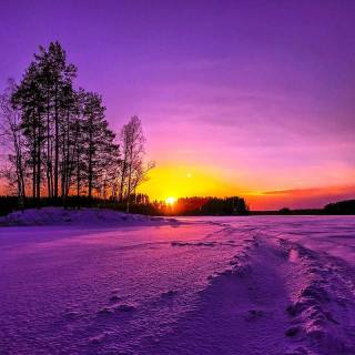 Winter colorful wallpaper