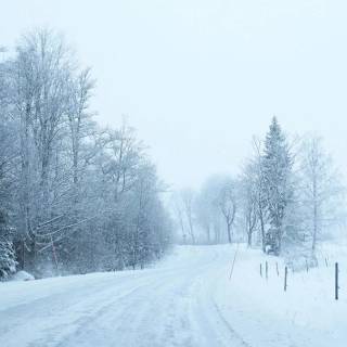 Street winter mist wallpaper