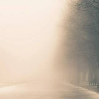 Street winter mist wallpaper