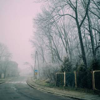 Street winter mist wallpaper