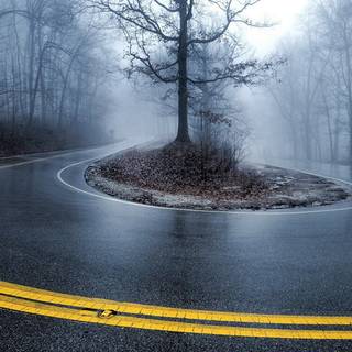 Street winter mist wallpaper