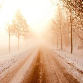 Street winter mist wallpaper