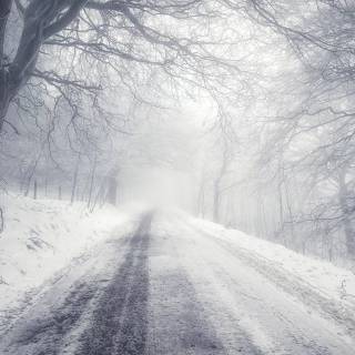Street winter mist wallpaper