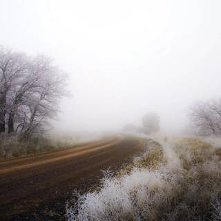 Street winter mist wallpaper