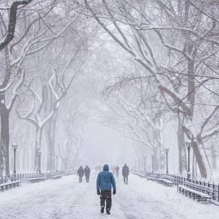Street winter mist wallpaper