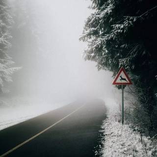 Street winter mist wallpaper