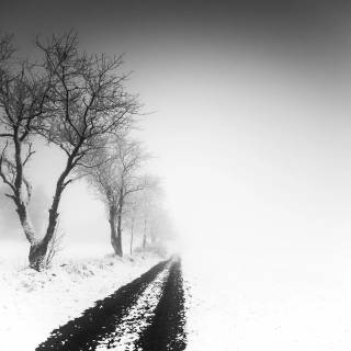 Street winter mist wallpaper