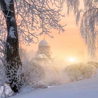 Street winter mist wallpaper