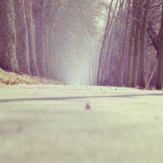 Street winter mist wallpaper