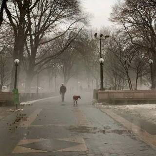 Street winter mist wallpaper