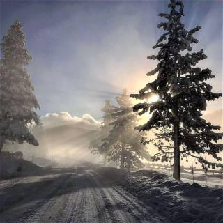 Street winter mist wallpaper