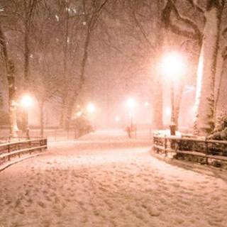 Street winter mist wallpaper