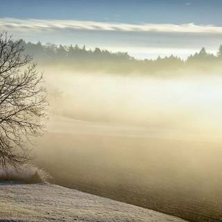 Winter fog city wallpaper