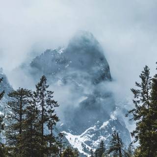 Winter fog city wallpaper