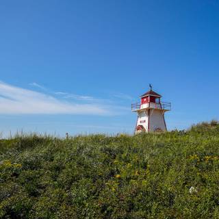 Lighthouse spring wallpaper